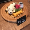 たっぷりサラダランチ＆映えスイーツ　FARMERS GARDEN Cafe オムレット（名古屋市緑区）