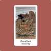 Vision Quest Tarot：Five of Earth