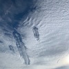 鯨飛ぶ雲を砕いて天高し(あ）
