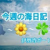 今週の海日記🚤💧