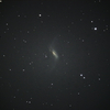 NGC660 うお座 棒渦巻銀河 & エックスバンド