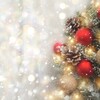 軽井沢【ハルニレテラス】のクリスマス