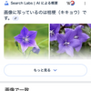授業で使えるかも：知らない何かを画像で検索する