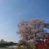 見たことのない風景（ウイルス報道の威力）