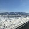 本日も天気がよくて大野市へ。