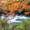 紅葉の山中温泉と、土曜日の休日ごはん