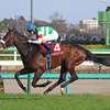 日曜競馬　展望