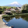 岐阜県関市「モネの池」効果？ 山梨県「忍野八海」も人気！