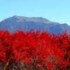 紅葉の石鎚  中宮 成就社
