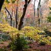 祇王寺　京都　旅のアーカイブ