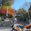 <滋賀県長浜市>🍁4年ぶりの受入れ再開! 石道寺&鶏足寺