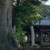 【神奈川県逗子市  五霊神社】古木巨木の御神木・大銀杏にパワーを貰いに参拝