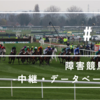 22/12/29 障害競馬入門⑬ - 中継・データベース等 - 