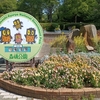 花めぐり　ポピー武蔵丘森林公園