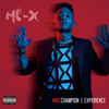  Mike Champion / Experience