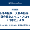 島津の猛攻、大友の動揺、豊薩合戦をルイス・フロイス『日本史』より