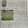 朝日新聞に掲載されました！