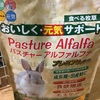 うさぎのもここ。チモシー食べない。