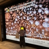 【お出かけスポット】【東京都】【港区】東京タワーから次の目的地へ