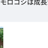 たまご屋爺さんの独り言　「これから｢卵1パック300円｣は日常になる…」20230520