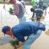 飯能風土季の田植え2016