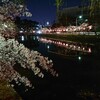 桜見に行きました。