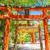 京都・吉田山の青もみじさんぽ！？