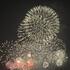 散歩、神社、ジム、歯医者、花火大会！（のんびり過ごしたお休みでした…）