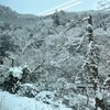 【京都・鞍馬寺】雪の京都再び☃️鞍馬天狗の伝説の地👺鞍馬寺へ行こう🚃❄️