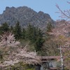 2025.4.17　妙義さくらの里１