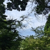 井の頭公園