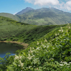 花たちと一緒に山頂を眺めました