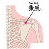 ツボの紹介、秉風(へいふう)～肩こりにはココ！～