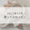 【購入品】2022年11月買ってよかったもの5選 ！