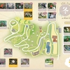 牧野公園のバイカオウレン　2025.02.23