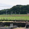 ほっとけないよ