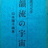 韻流の宇宙　山本陽子論集　渡辺元彦