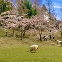 さんぽ日和