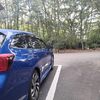 亀山の湯と定番コースドライブ