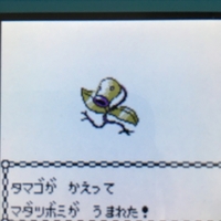 色違いポケモン紹介 Vc産ププリン 自由に生きてあそblog