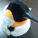 ぺんぎんさんは怠け者
