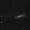 NGC3628-ヒゲ写らず