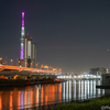 汐入公園（隅田川河川敷）からの夜景