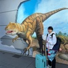 ハグハグ、なでなで