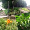 仙川遊歩道〜祖師谷公園