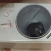 パン捏ね器が壊れて‥
