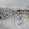 久し振りの大雪　甘酸っぱくて　Heavy snow after a long time