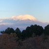 今朝の景色