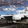 【香川県】綾川町高山航空公園の展示機