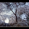 雪の寺